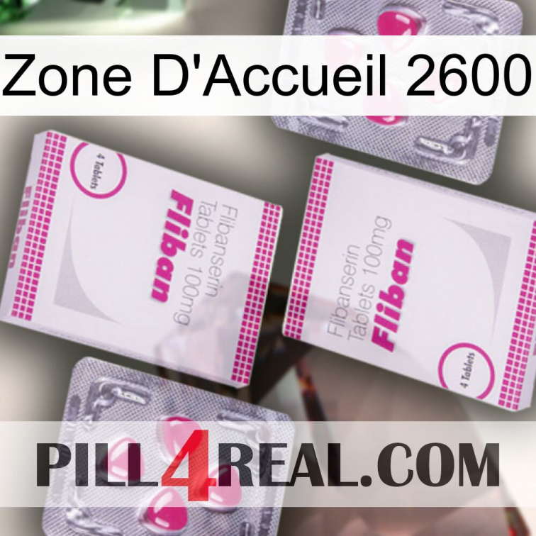 Home Zone 2600 33